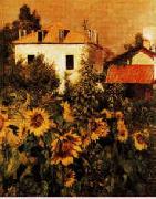 Gustave Caillebotte Sunflowers, Garden at Petit Gennevilliers Spain oil painting artist